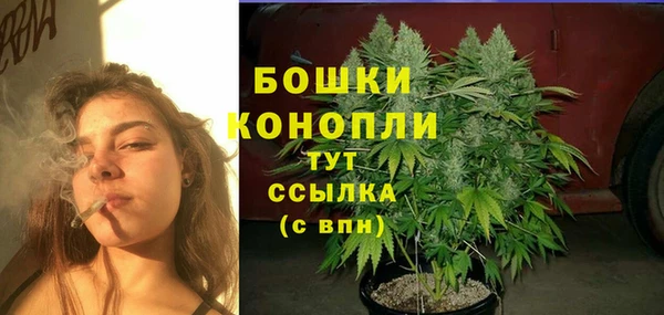 герыч Бородино