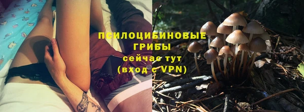 соль курить ск Бронницы